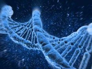 目前主流的PD-1联合治疗方式有哪些？