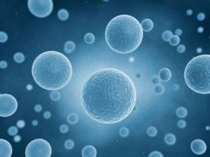 PD-1耐药应该怎么办？