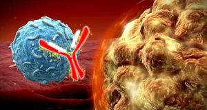 PD-1 抗体对晚期黑色素瘤有什么重要作用？