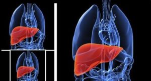 用PD-1治疗肝癌，这几点您知道吗？