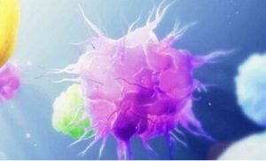 PD-1创造新的医学奇迹