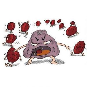 PD-1抗体是什么呢？