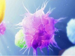   PD-1治疗肿瘤效果显著的原因