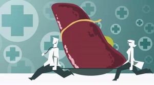 肝炎病毒阳性患者可以使用PD-1吗？