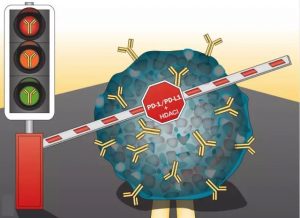 PD-1是否可以检测药物的疗效。