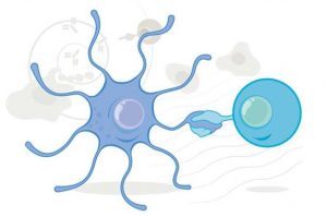 PD-1联合化疗对肺癌晚期的疗效如何？
